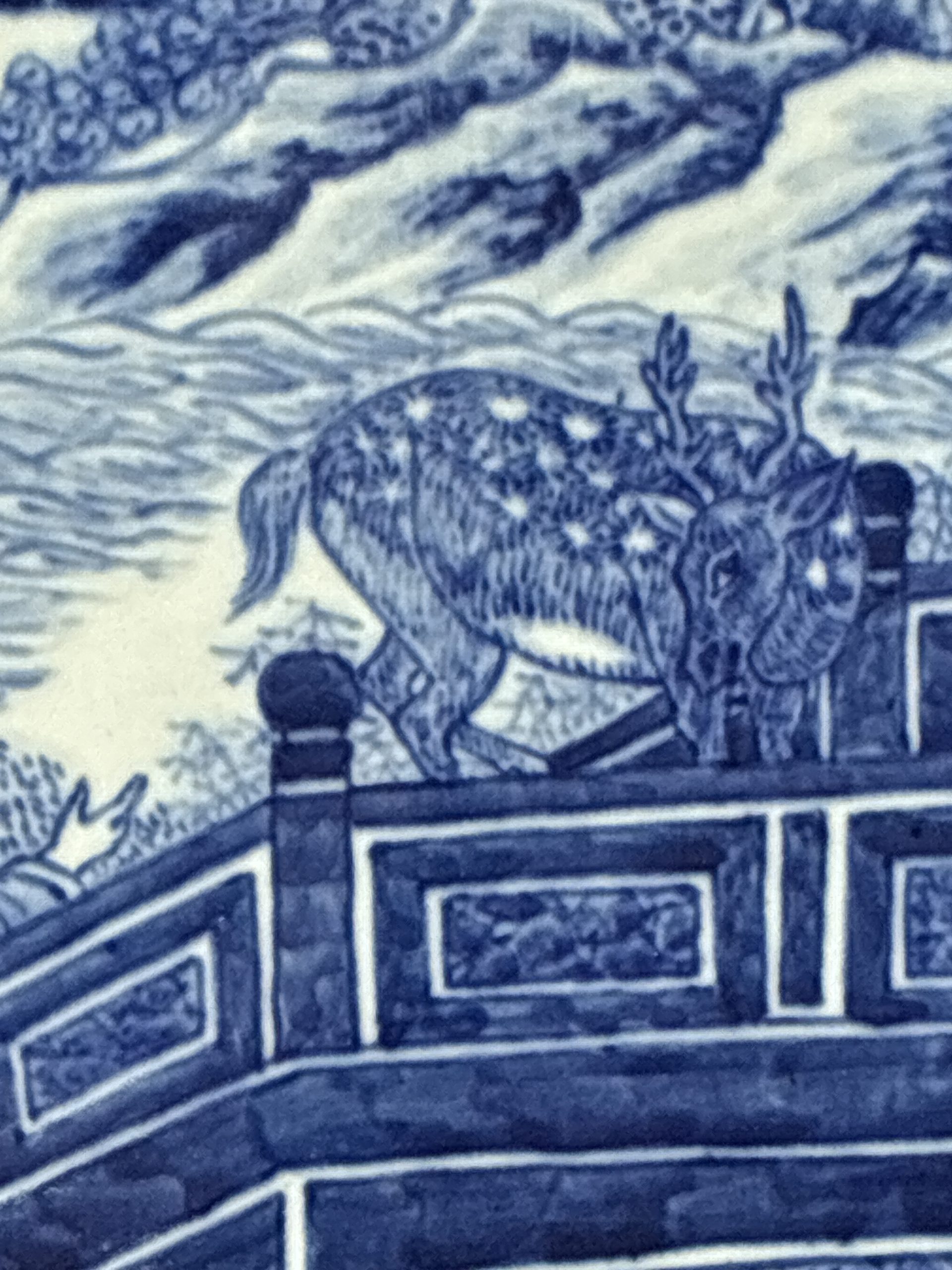 00887相片 17-08-2026 15 32 54 (10)